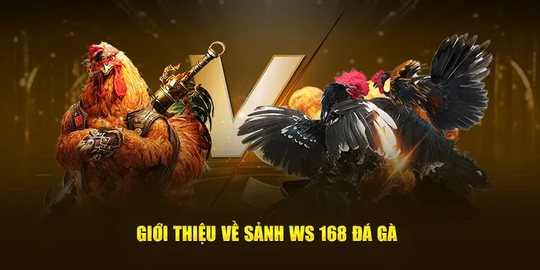 Khám Phá Sảnh Đá Gà WS168 Tại HitClub Đỉnh Cao Của Những Trận Đấu Kịch Tính