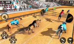 Hướng Dẫn Cá Cược Game Nhanh Đua Chó Tại HitClub Hiệu Quả Nhất